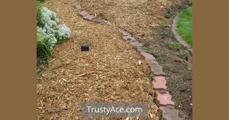 Walkway Ideas And Mulch