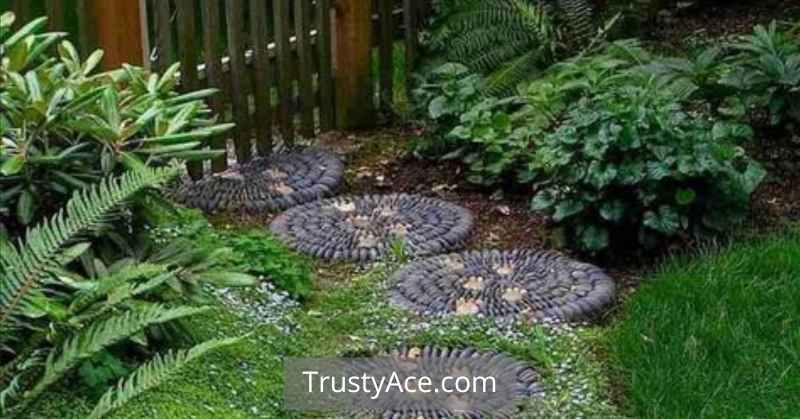 Pebble Rock Walkway Ideas With Stepping Stone