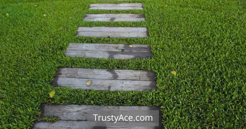 Walkway Ideas With Railroad Tie