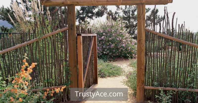 DIY Walkway Ideas With Sand