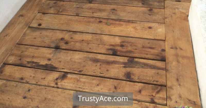 Scaffolding Board Backyard Walkway Ideas