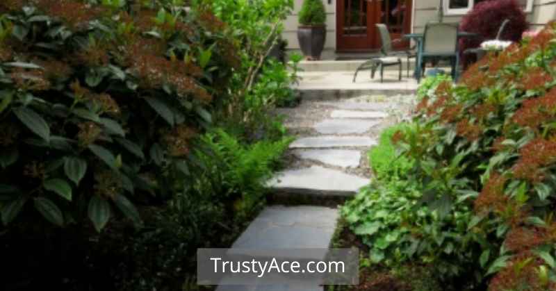 Walkway Ideas Slate