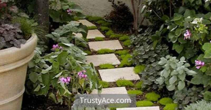 Small Walkway Ideas