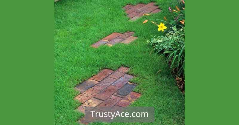 Walkway Ideas With Stepping Stone