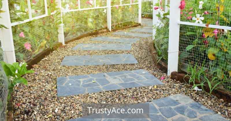 Outdoor Fire Pit Backyard Walkway Ideas