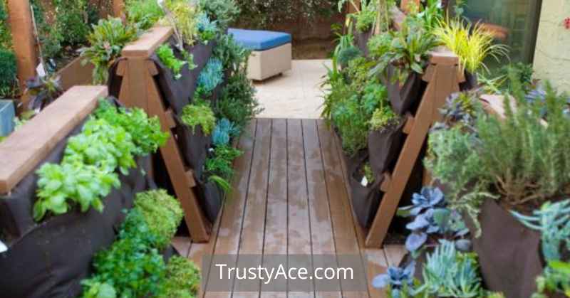 Vegetable Garden Walkway Ideas