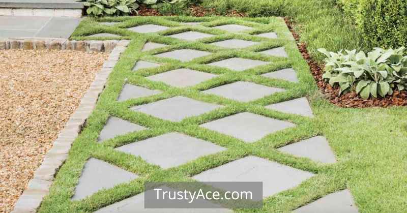 Patterned Home Walkway Ideas