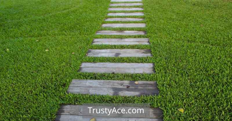 Grass Walkway Ideas