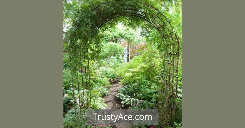 Landscaping Walkway Ideas With Archways