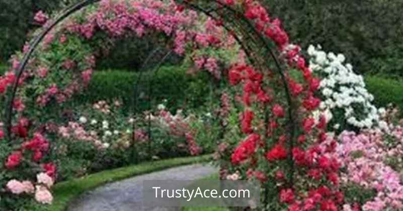 Archways Landscaping Walkway Ideas