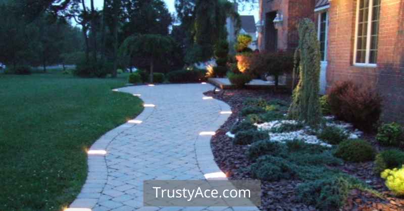 Walkway Ideas With Lights