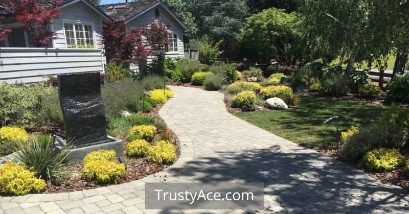 Backyard Paver Walkway Ideas