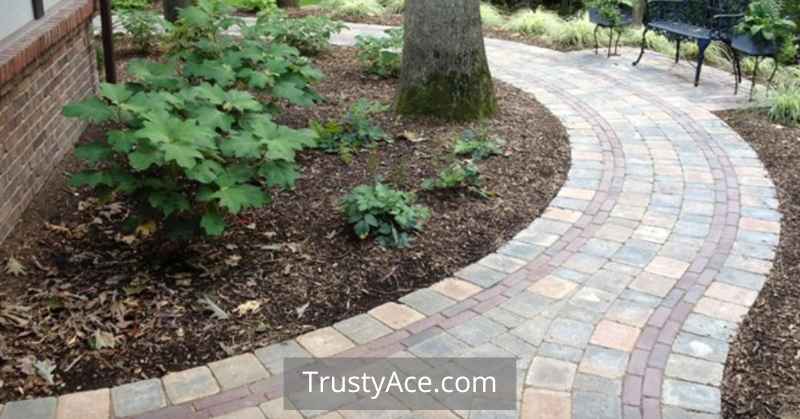 Paver Walkway Ideas Backyard