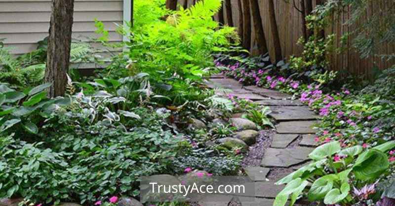 Walkway Ideas With Trees For Backyard