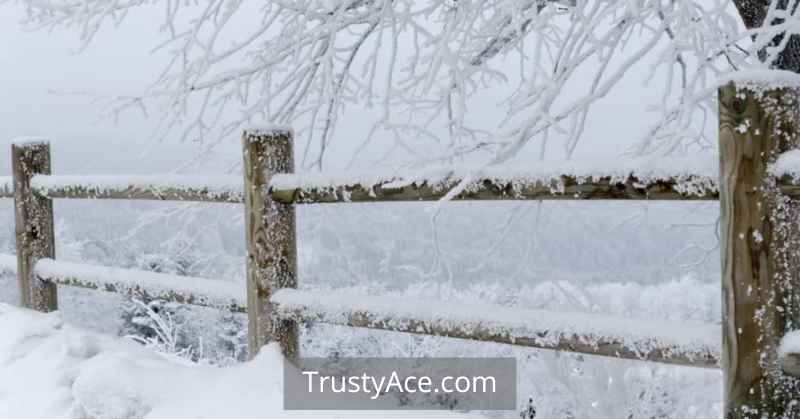 Traditional Horizontal Round Beams Wood Fence Ideas