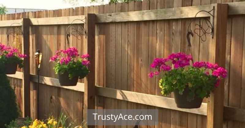 Backyard Fence With Hanging Plants