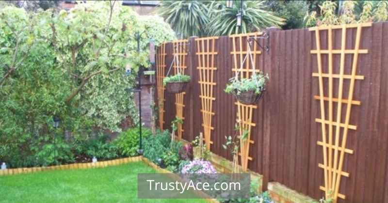 Wood Fence Ideas With Hanging Plants