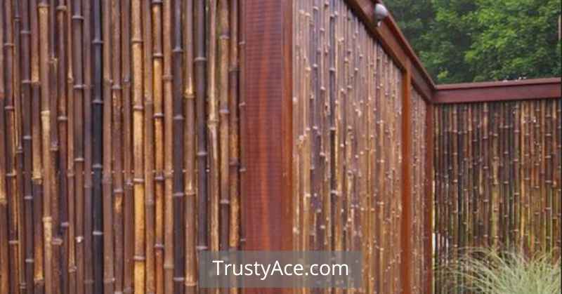 Bamboo Privacy Fence Ideas