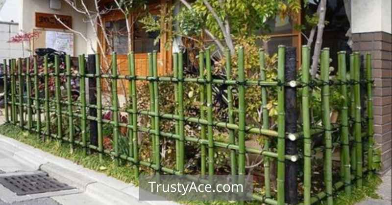 Bamboo Wood Fence Ideas