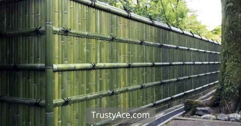 Wood Fence Ideas Using Bamboo