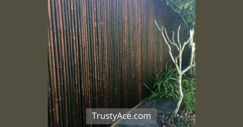 Bamboo Fence Ideas