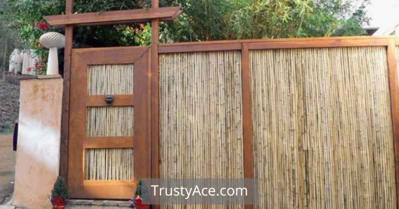 Wood Bamboo Fence Ideas