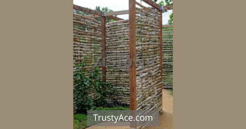 Fence Ideas With Wood Bamboo