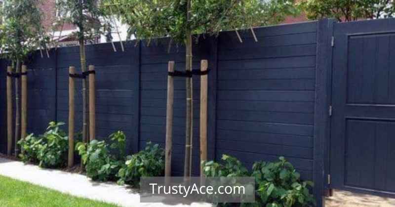 Black Stained Wood Fence Ideas