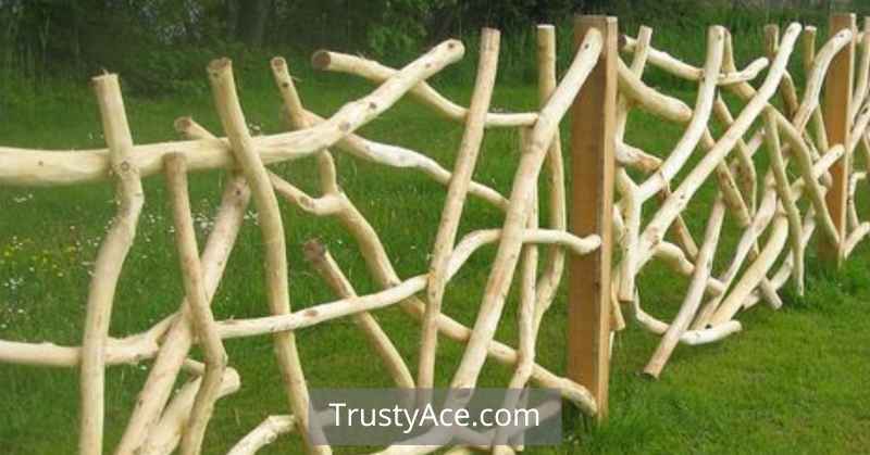 Branch Wood Fence Ideas