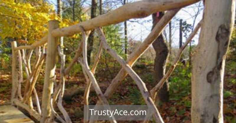 Wood Fence Ideas Branch