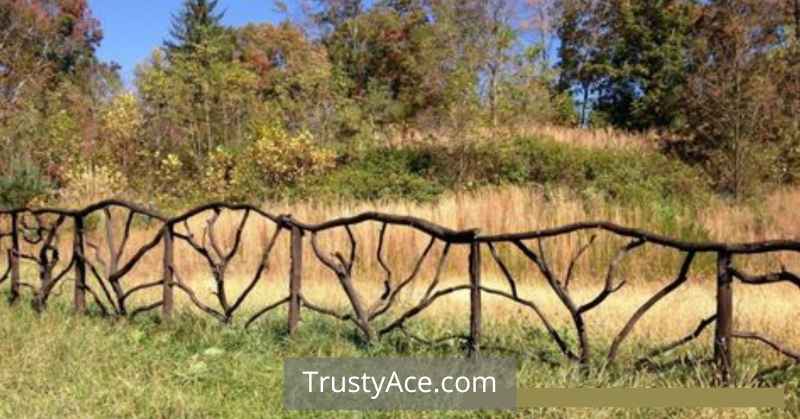 Wood Fence Ideas With Branch