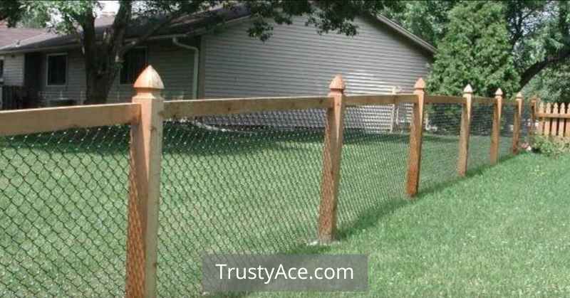 Wood Fence Ideas With Chain Link