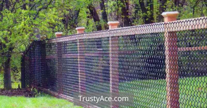 Chain Link Wood Fence Ideas