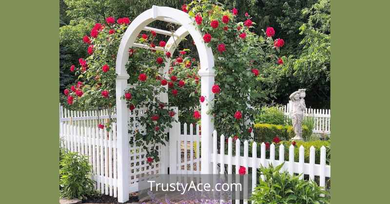 Charming Wood Fence Ideas With Arbor