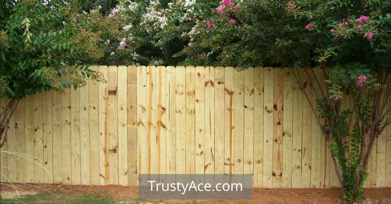 Dog Eared Privacy Wood Fence Ideas