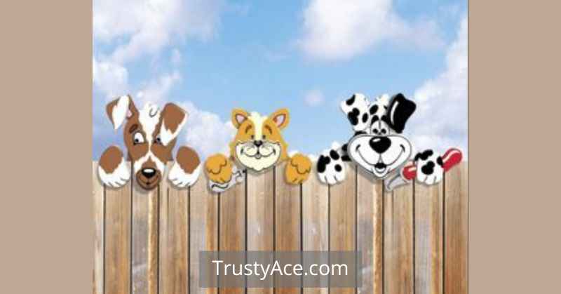 Funny Wood Fence Ideas