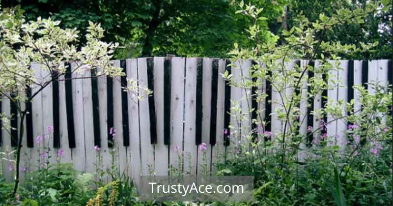 Piano Wood Fence Ideas