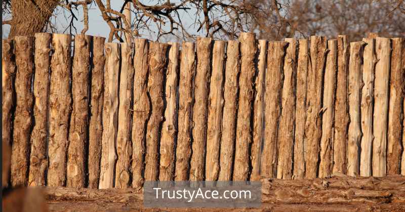 Slab Wood Fence Ideas