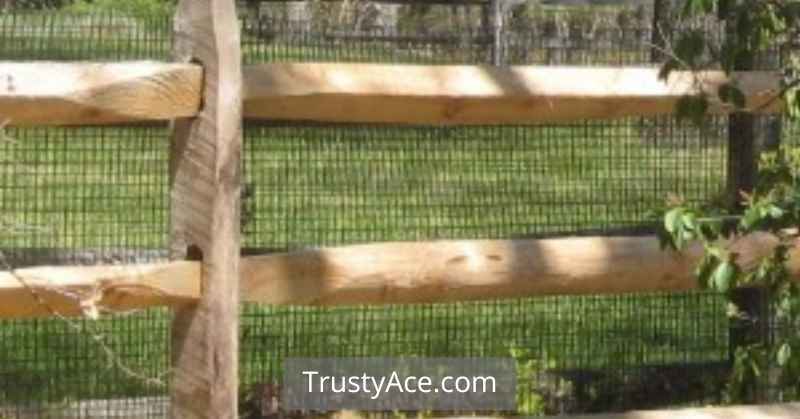 Split-Rail Wood Fence Ideas