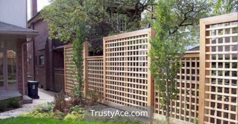 Square Checkered Lattice Wood Fence Ideas