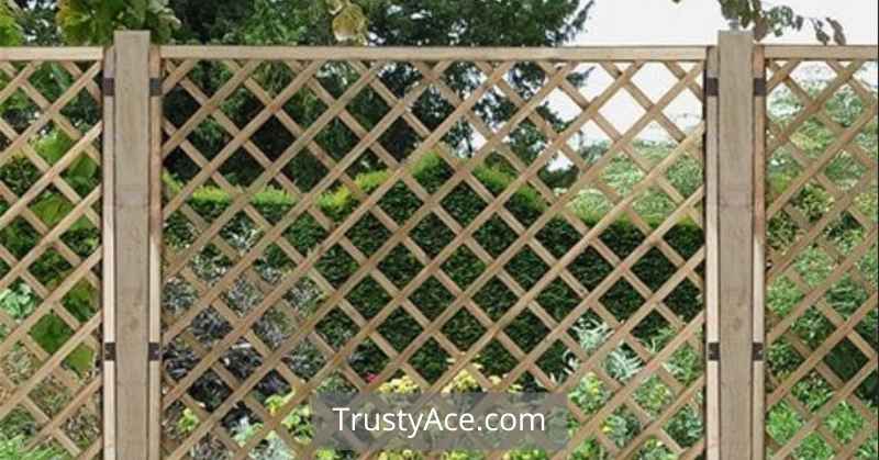 Trellis Wood Fence Ideas