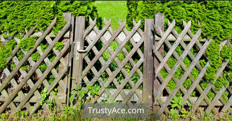 Wood Fence Ideas Trellis