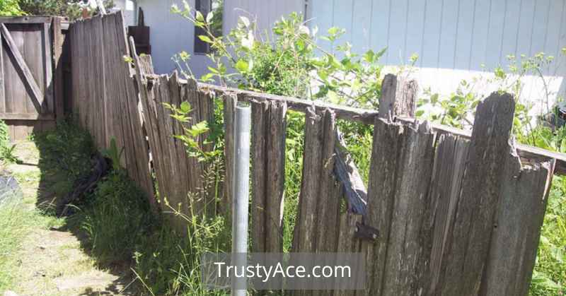 Unusual Wood Fence Ideas