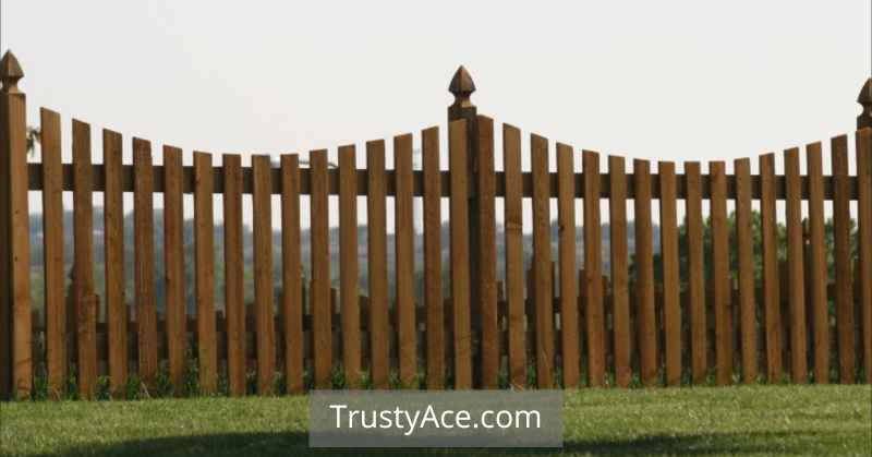 Wood Fence Ideas With Scalloped Picket