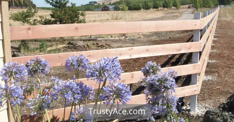 Wood Fence Ideas Corral