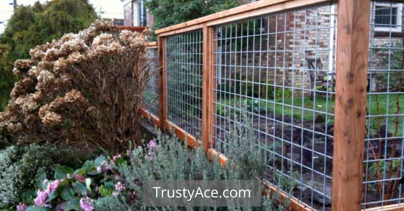 Wood Fence Ideas With Mesh Wire