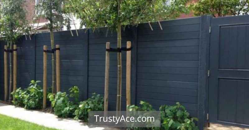 Black Painted Wood Fence Ideas