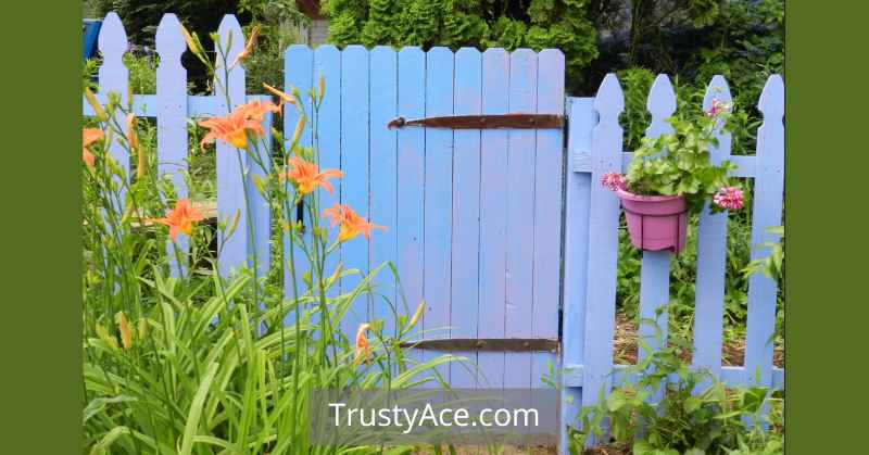 Wood Fence Ideas That Are Painted Blue