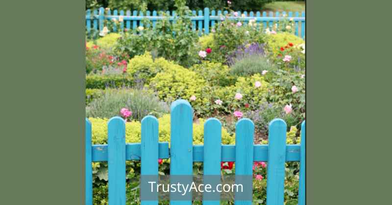 Wood Fence Ideas That Are Painted Blue