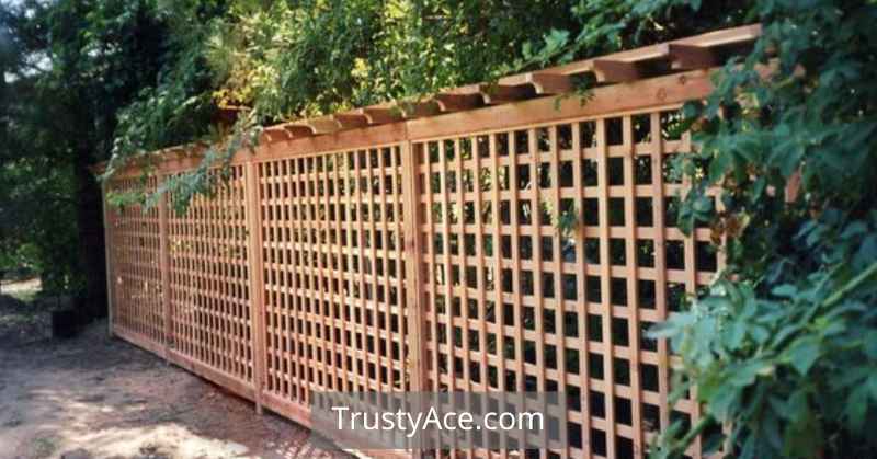 Wood Lattice Fence Panels Ideas